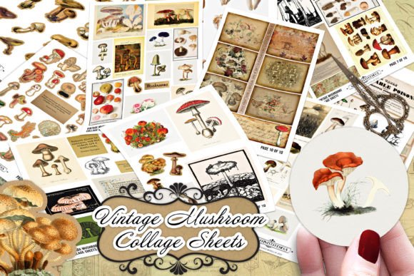 Download Vintage Mushroom Mycology Collage Sheets - Vintage Collection