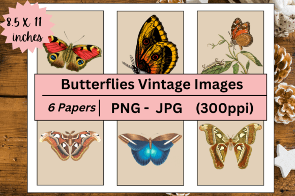 Download Butterflies Vintage Digital Images - Vintage Collection