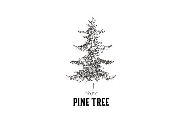 Download Vintage Pine Tree Logo Design - Vintage Collection