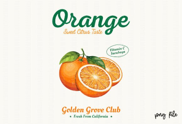 Download Vintage Summer Retro Orange Fruit PNG - Vintage Collection
